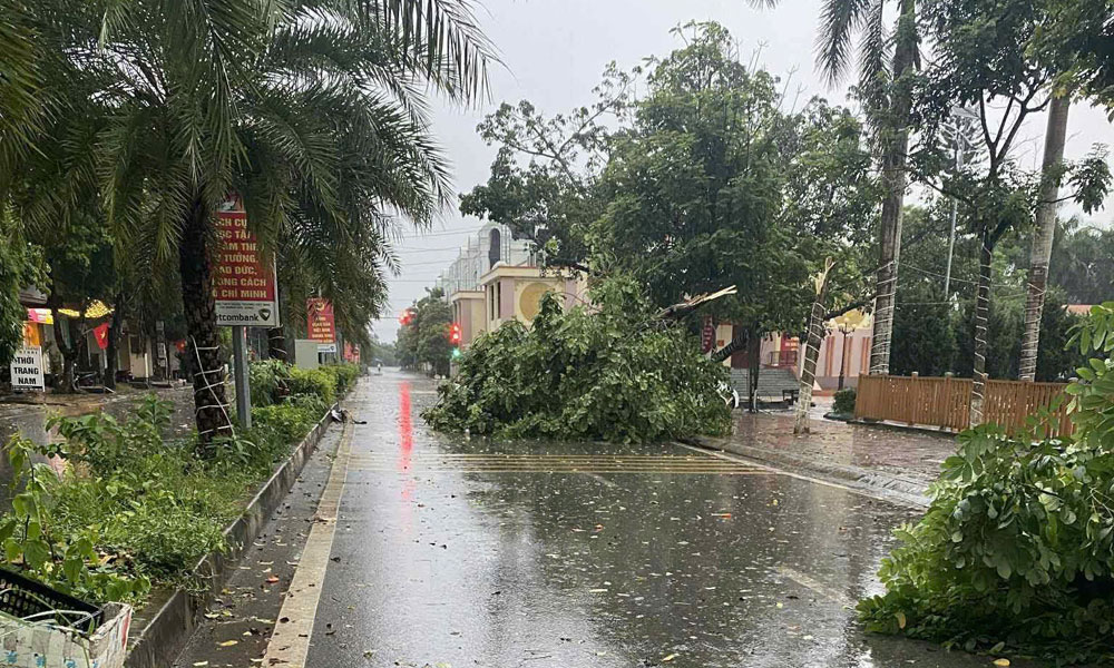 Cây xanh trước cửa trụ sở các cơ quan, đơn vị tại phường Chũ bị đổ, gãy.