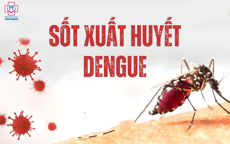 Sốt xuất huyết diễn biến phức tạp, chủng virus DEN-2 chiếm ưu thế