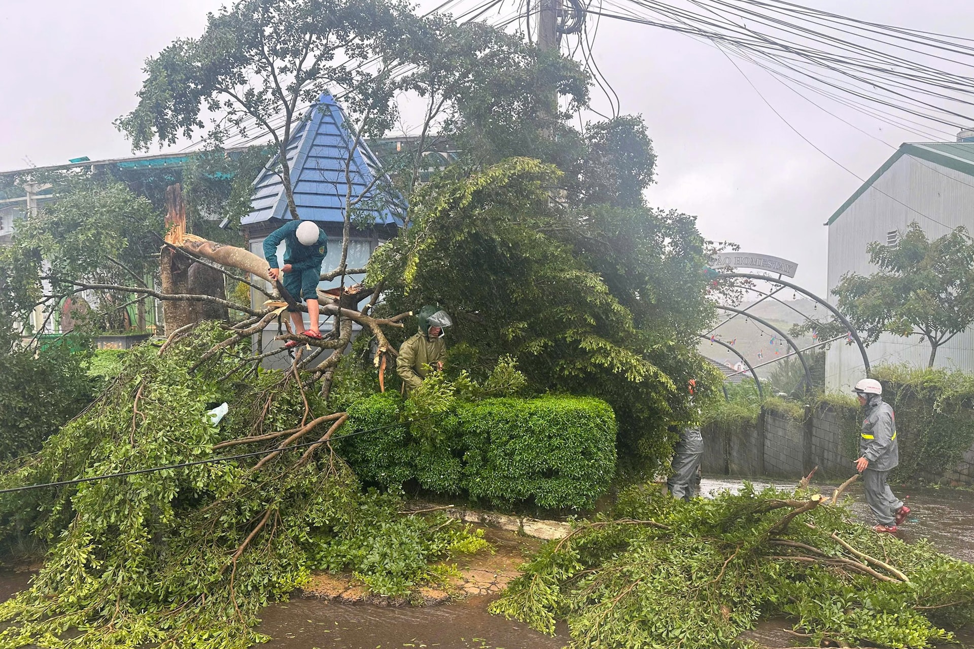 Lâm Đồng triển khai khẩn trương các biện pháp ứng phó với bão số 3