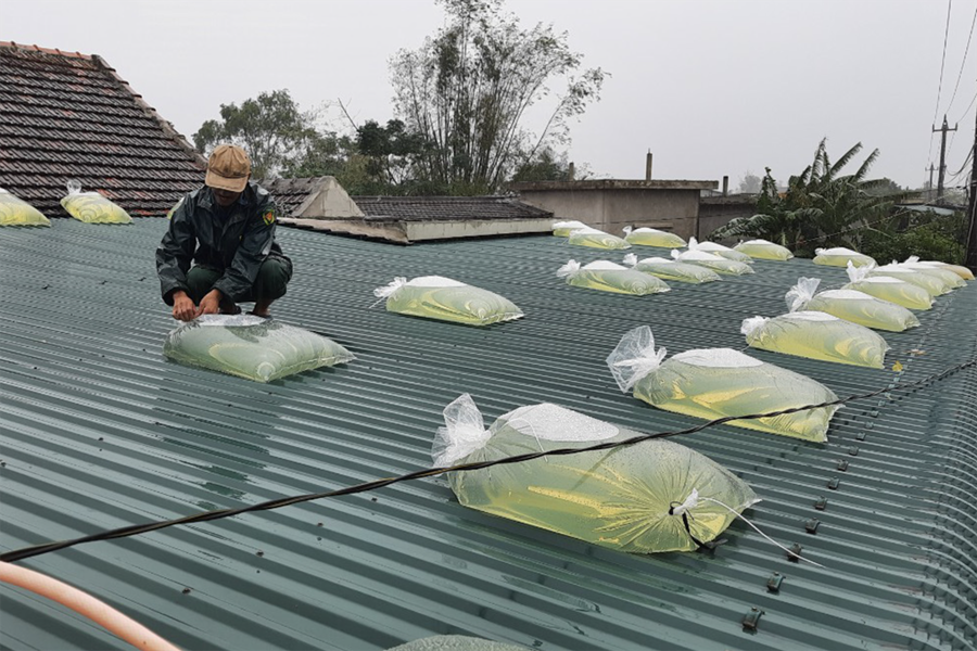 Người dân chủ động công tác phòng chống bão