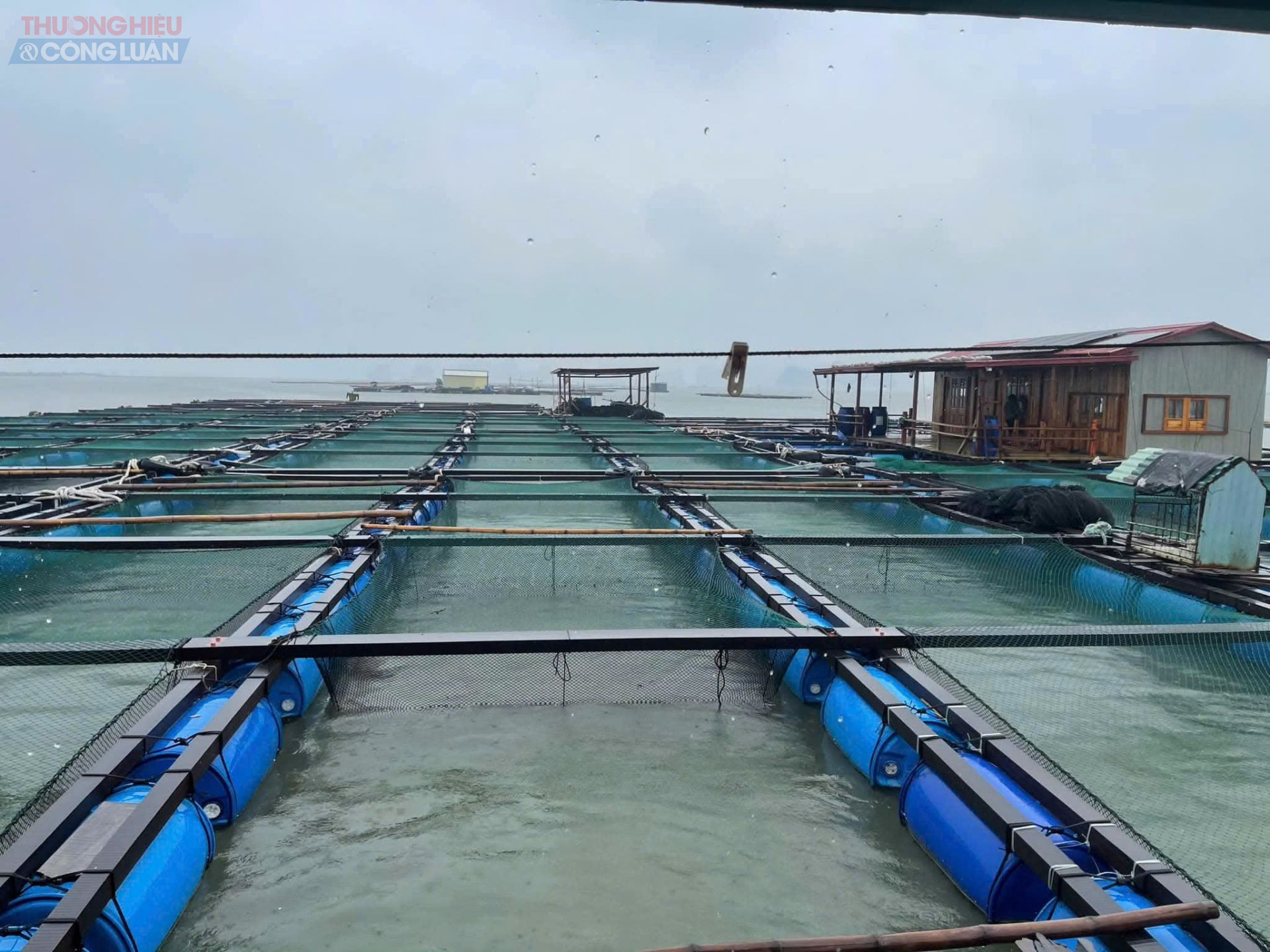 Đặc khu Vân Đồn khẩn trương bảo vệ các hộ nuôi trồng thủy sản trước bão số 3 (Wipha)