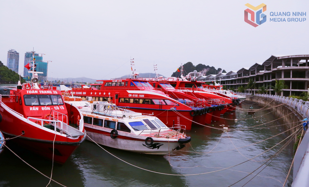 Tàu khách neo đậu tránh trú bão tại khu vực Cảng cao cấp Ao Tiên Vân Đồn. Tàu khách neo đậu tránh trú bão tại khu vực Cảng cao cấp Ao Tiên Vân Đồn.