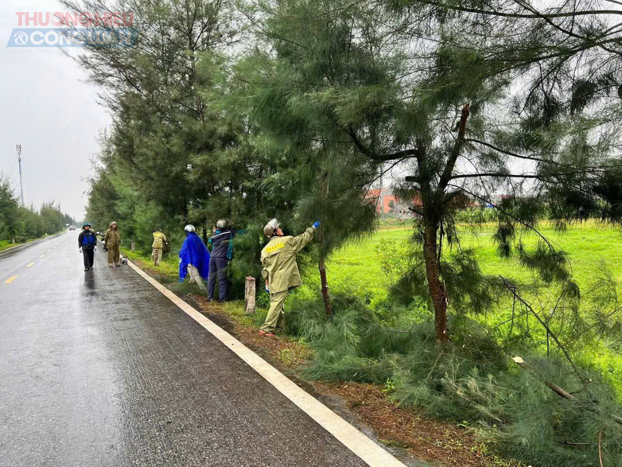 Dưới điều kiện thời tiết mưa to, đường trơn trượt, các cán bộ chiến sĩ Công an xã vẫn nêu cao tinh thần chủ động - trách nhiệm - vì Nhân dân phục vụ, sử dụng các công cụ thủ công để cắt tỉa các cành cây có nguy cơ gãy đổ, khuất tầm nhìn giao thông, đảm bảo hành lang an toàn lưới điện và tuyến đường huyết mạch.