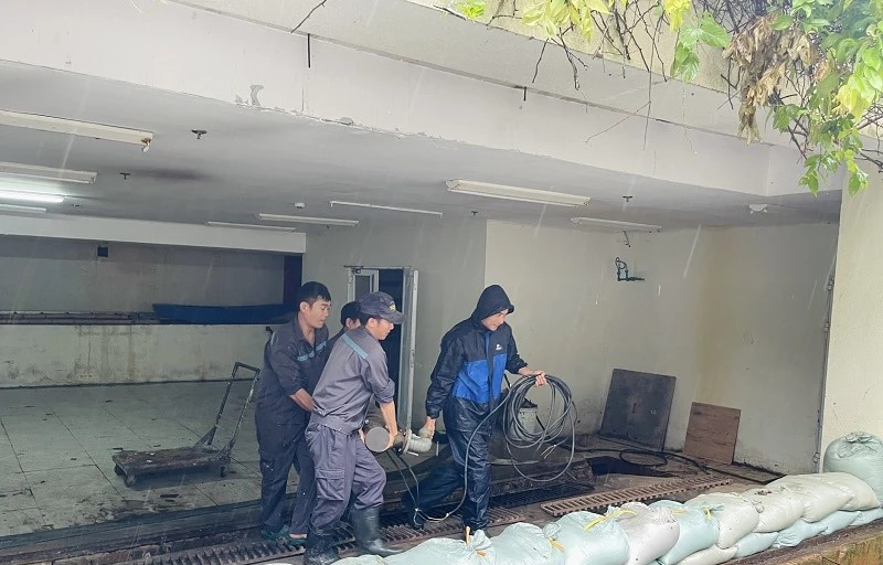 Khu vực lưu trú tại Quần thể du lịch nghỉ dưỡng sinh thái FLC đã được triển khai các biện pháp thoát nước, chống ngập.