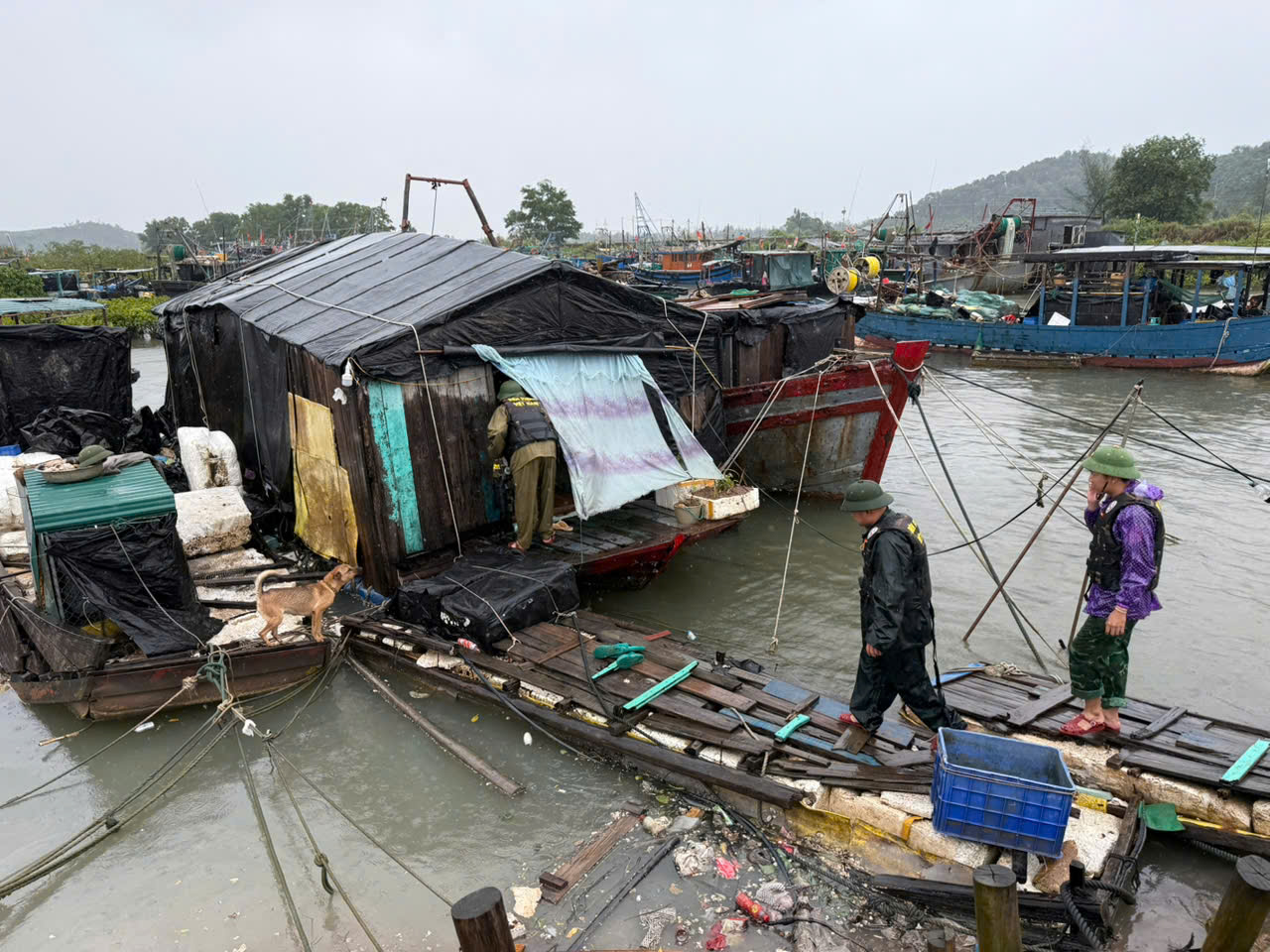 Đồn Biên phòng Trà Cổ tiếp tục kêu gọi và yêu cầu người dân còn đang trên các phương tiện di chuyển về nơi tránh trú bão an toàn.