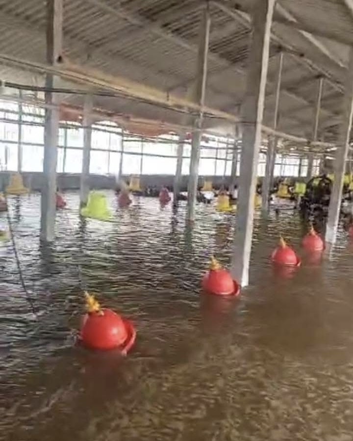 Đến 15 giờ 30 phút cùng ngày, đã hoàn thành việc di chuyển toàn bộ tài sản và vật nuôi của 27 hộ dân vào nơi an toàn Đến 15 giờ 30 phút cùng ngày, đã hoàn thành việc di chuyển toàn bộ tài sản và vật nuôi của 27 hộ dân vào nơi an toàn