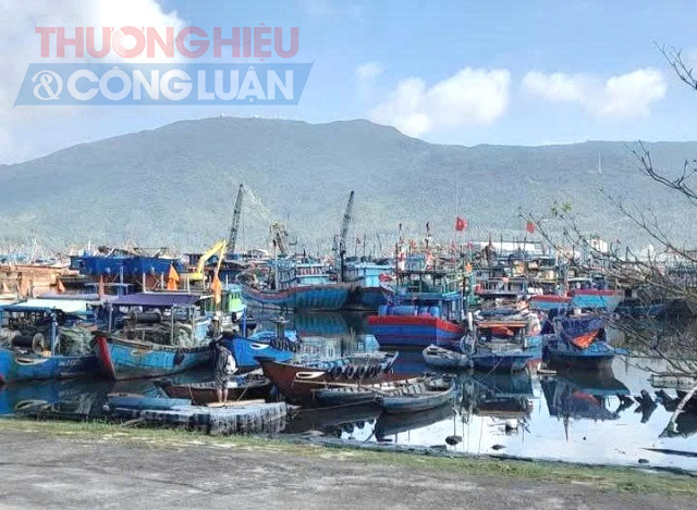 Thuyền trưởng, người điều khiển phương tiện chịu trách nhiệm kiểm tra điều kiện an toàn của phương tiện, trang thiết bị trước mỗi ca làm việc và mỗi chuyến hành trình