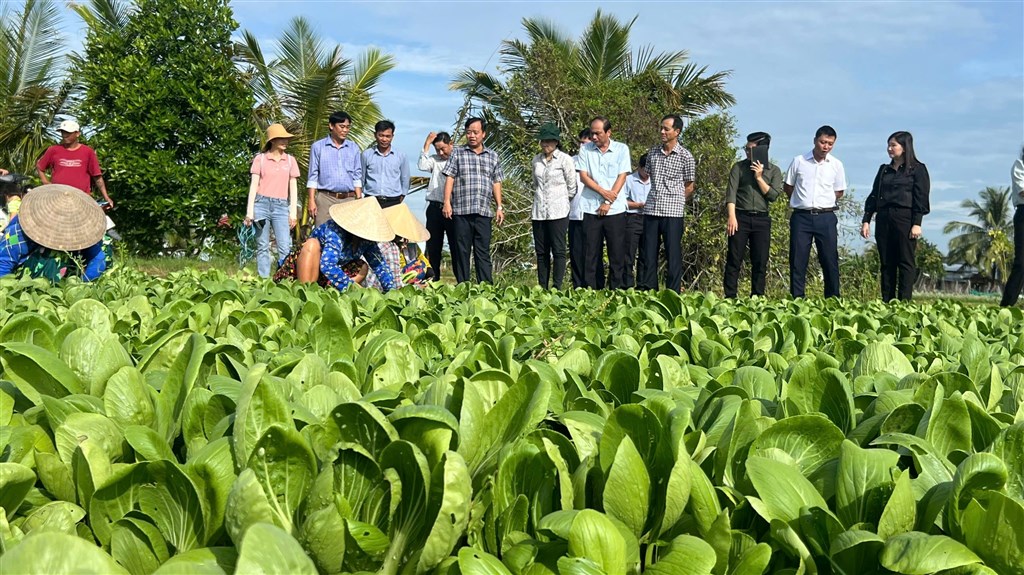 Cà Mau tăng cường thực hiện công tác tổng điều tra nông thôn, nông nghiệp năm 2025