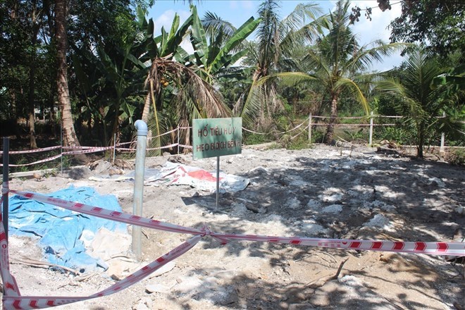 Đồng Nai đã tiêu hủy gần 4.000 con lợn mắc dịch tả lợn châu Phi