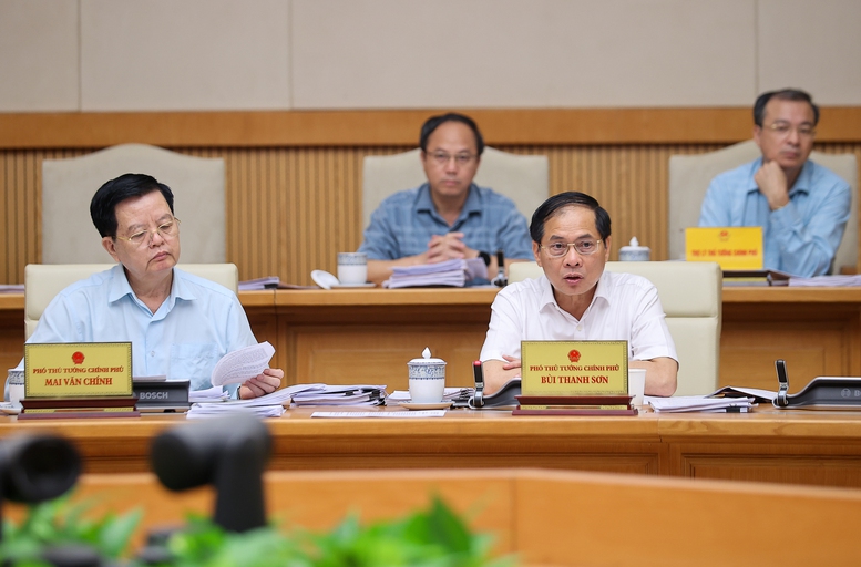 Phó Thủ tướng Bùi Thanh Sơn phát biểu - Ảnh: VGP/Nhật Bắc