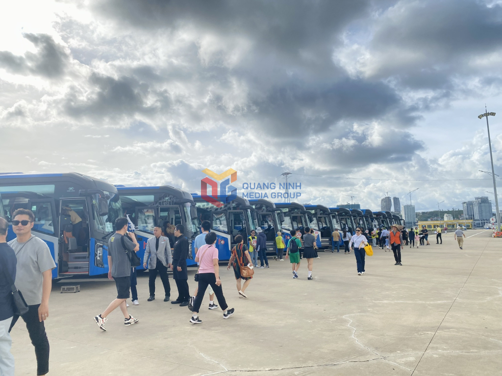 Các đoàn xe nối tiếp nhau chở khách đi tham quan các điểm đến ở Quảng Ninh.