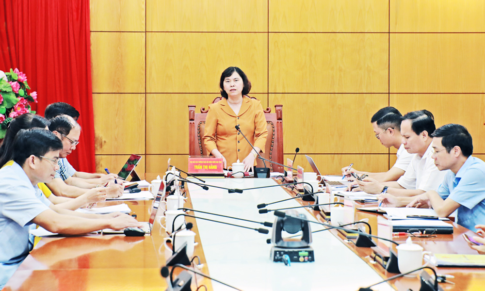 Đồng chí Trần Thị Hằng chủ trì hội nghị.