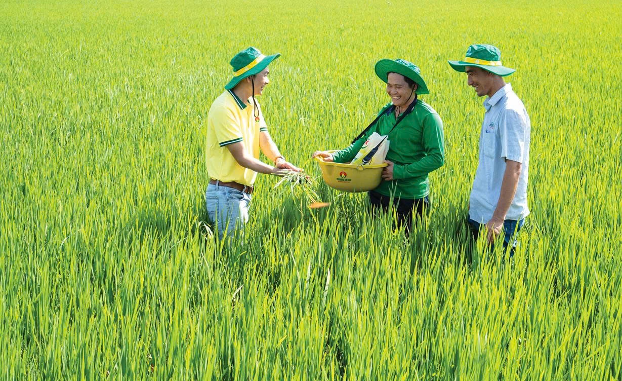 PVCFC nâng tầm giá trị thương hiệu