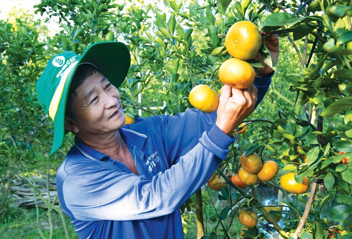 PVCFC với Nền tảng vững bền - Khát vọng lớn mạnh - Nhanh hơn, hiệu quả hơn