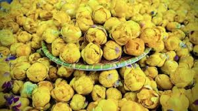 “Vàng xanh” của núi rừng: Chè hoa vàng Thái Nguyên trở thành nông sản OCOP chất lượng cao