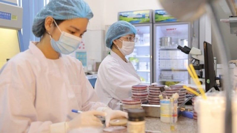 Hà Nội tăng cường kiểm soát, hạn chế tối đa thiệt hại do bệnh dịch