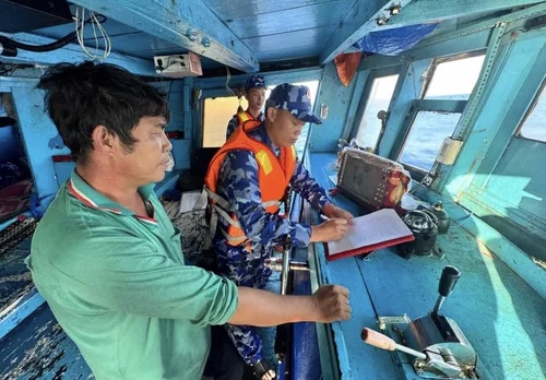 Lực lượng chức năng Bộ Tư lệnh Vùng Cảnh sát biển 4 lập biên bản tạm giữ phương tiện.