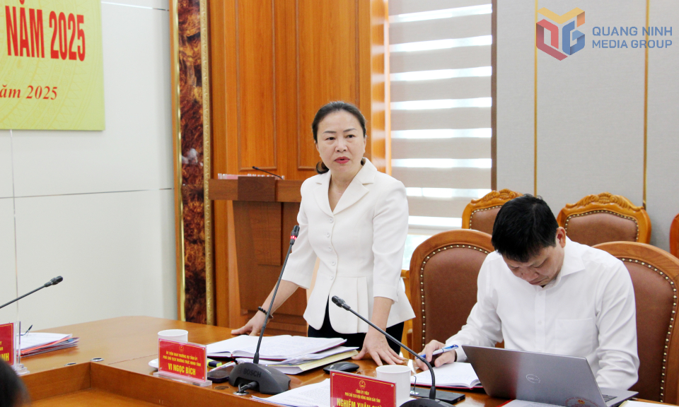 Bà Vi Ngọc Bích, Phó Chủ tịch Thường trực HĐND tỉnh, phát biểu tại phiên họp.