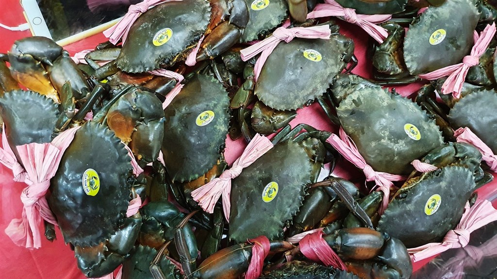 Duy trì, phát triển thương hiệu “Cua Năm Căn - Cà Mau”. Duy trì, phát triển thương hiệu “Cua Năm Căn - Cà Mau”.