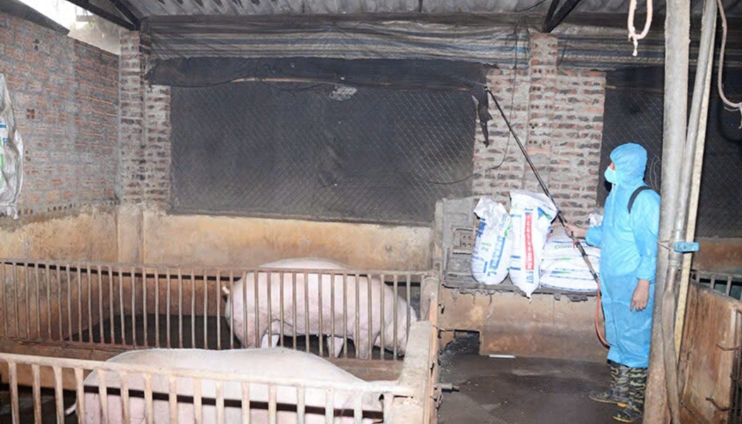 Lực lượng chức năng tiến hành phun khử khẩn để phòng chống dịch bệnh