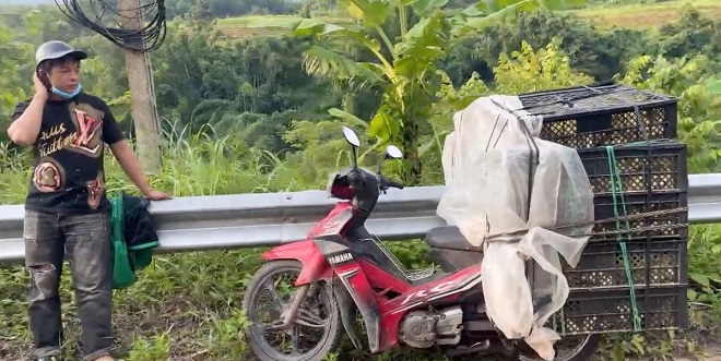 Đối tượng và tang vật vi phạm thu được Đối tượng và tang vật vi phạm thu được