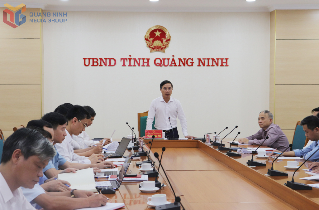 Quảng Ninh nghiên cứu lắp đặt thiết bị cảnh báo dông, lốc trên vịnh Hạ Long, vịnh Bái Tử Long