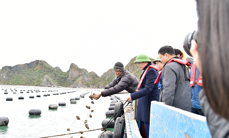 Phó Thủ tướng Trần Hồng Hà tham quan mô hình nuôi trồng thuỷ sản tại Hợp tác xã Thuỷ sản Trung Nam sáng 7/2/2025 - Ảnh: VGP/Hải Minh