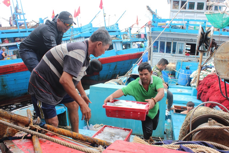 Gia Lai cường công tác chống khai thác thủy sản bất hợp pháp, không báo cáo và không theo quy định