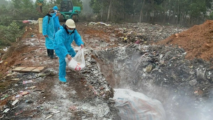 Thanh Hóa thành lập 39 chốt kiểm soát dịch bệnh tả lợn Châu Phi