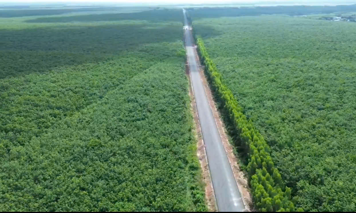 Giá cao su hôm nay 2/8: Tăng trở lại trên sàn Tocom, tiếp tục giảm tại sàn SGX. Giá cao su hôm nay 2/8: Tăng trở lại trên sàn Tocom, tiếp tục giảm tại sàn SGX.