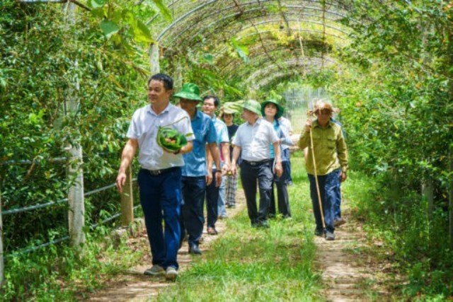 Thăm quan vườn dược liệu Genecell tại xã Bình Minh, tỉnh Nghệ An.