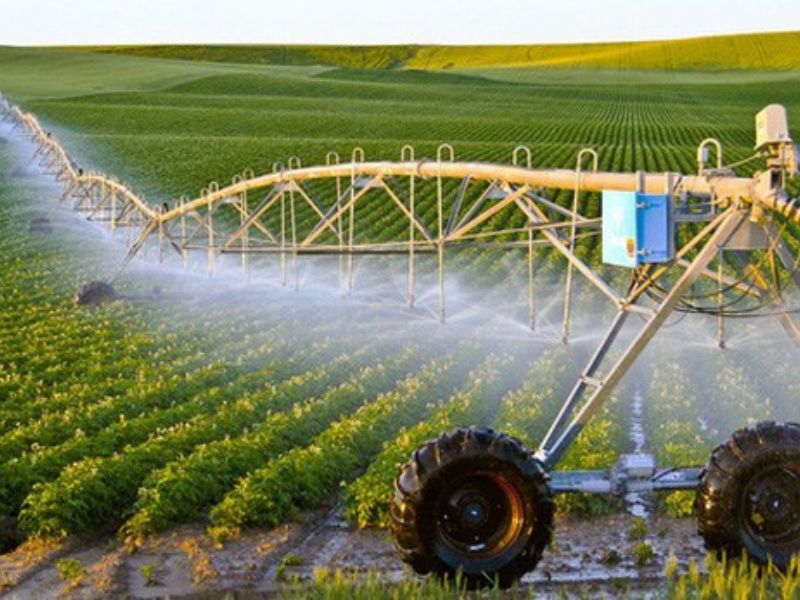 Đòn bẩy đổi mới của nông nghiệp hiện đại: Trao quyền khảo nghiệm để doanh nghiệp chủ động