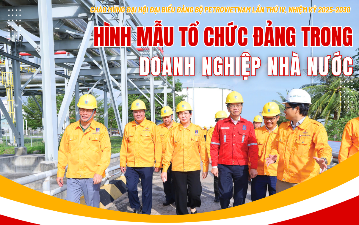 Hình mẫu tổ chức Đảng trong doanh nghiệp nhà nước
