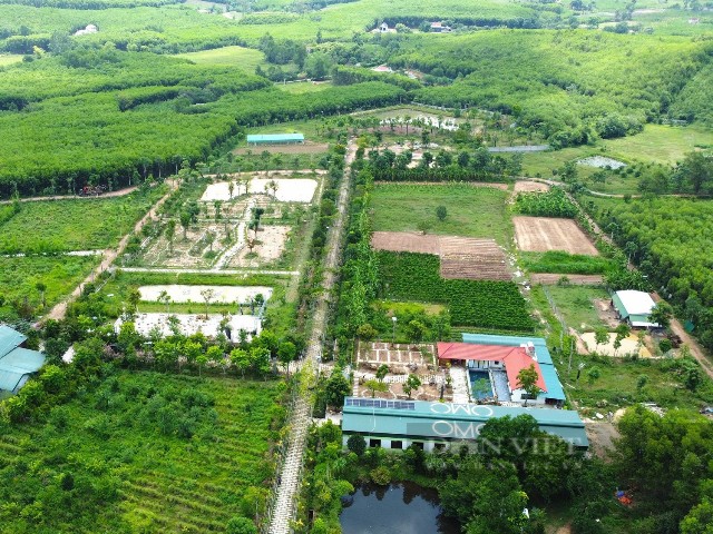 Vườn thảo dược GENECELL - Hòn Sường GARDEN tại xã Bình Minh, tỉnh Nghệ An.