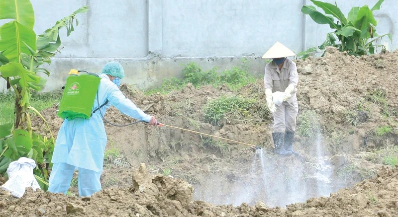 Thanh Hoá có 3 xã đã qua 21 ngày không phát sinh bệnh dịch tả lợn Châu Phi