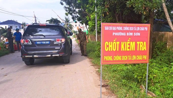 Chốt kiểm dịch tả lợn châu Phi được lập tại phường Bỉm Sơn, tỉnh Thanh Hóa.