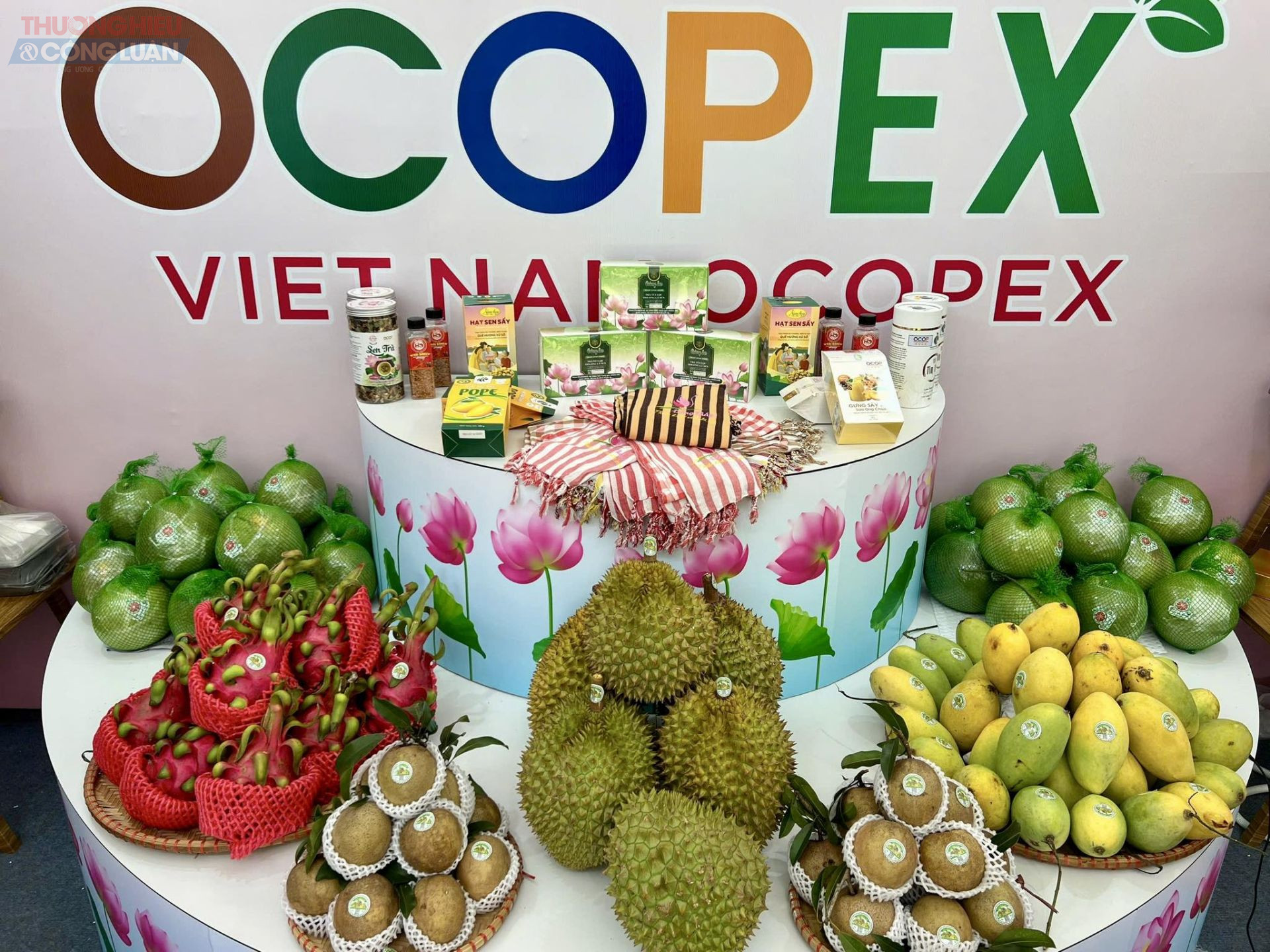 Sự kiện quy tụ hàng trăm gian hàng giới thiệu các sản phẩm đạt chuẩn OCOP, đại diện cho nét đặc trưng văn hóa – ẩm thực – thủ công mỹ nghệ và nông sản của Việt Nam.