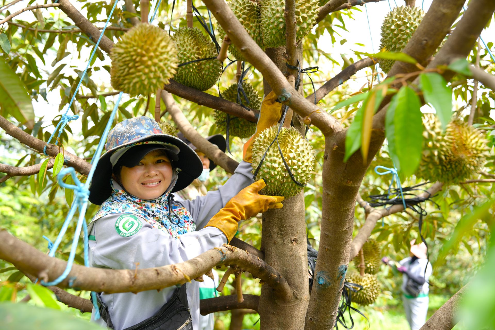 Niềm vui của công nhân Niềm vui của công nhân