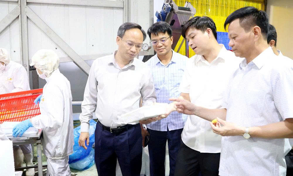 Đồng chí Phạm Văn Thịnh thăm nhà máy chế biến nông sản tại Công ty cổ phần Xuất nhập khẩu thực phẩm Toàn Cầu.