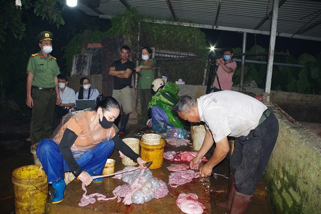 Cơ quan chức năng phát hiện lò mổ với gần 3 tấn thịt nhiễm virus dịch tả lợn châu Phi tại tỉnh Ninh Bình vào tháng 5/2025