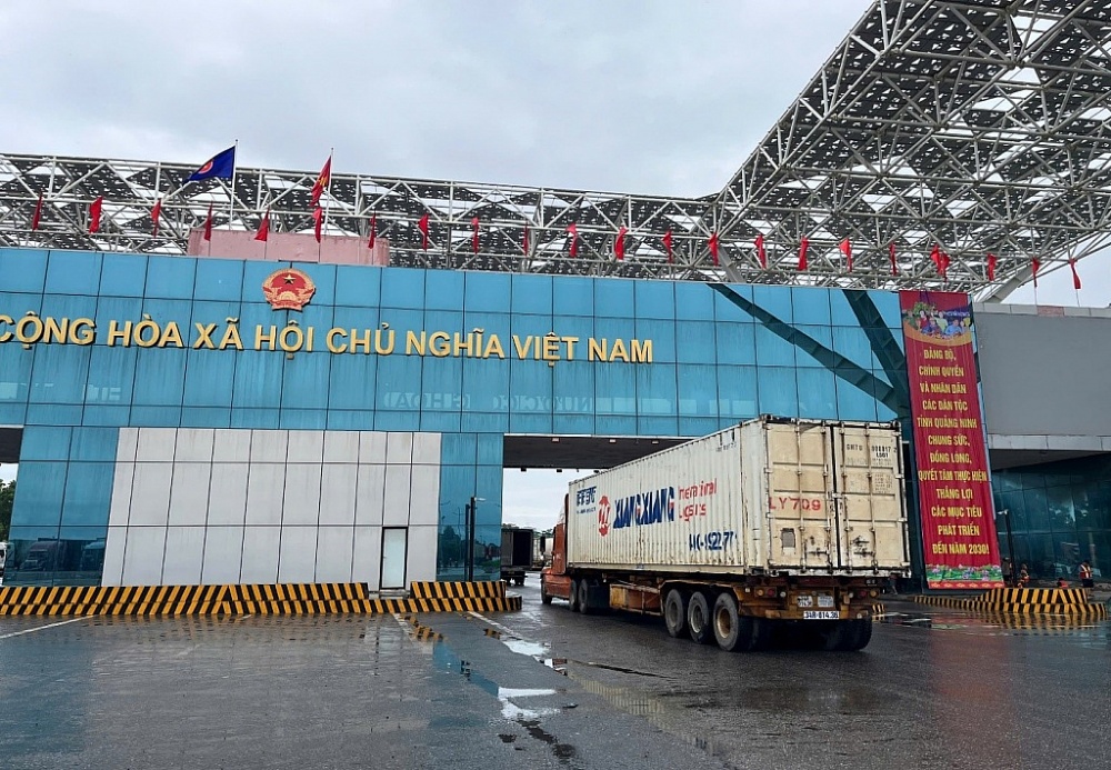 Hải quan khu vực VIII làm thủ tục cho 2.190 thùng carton dừa tươi qua cầu Bắc Luân II