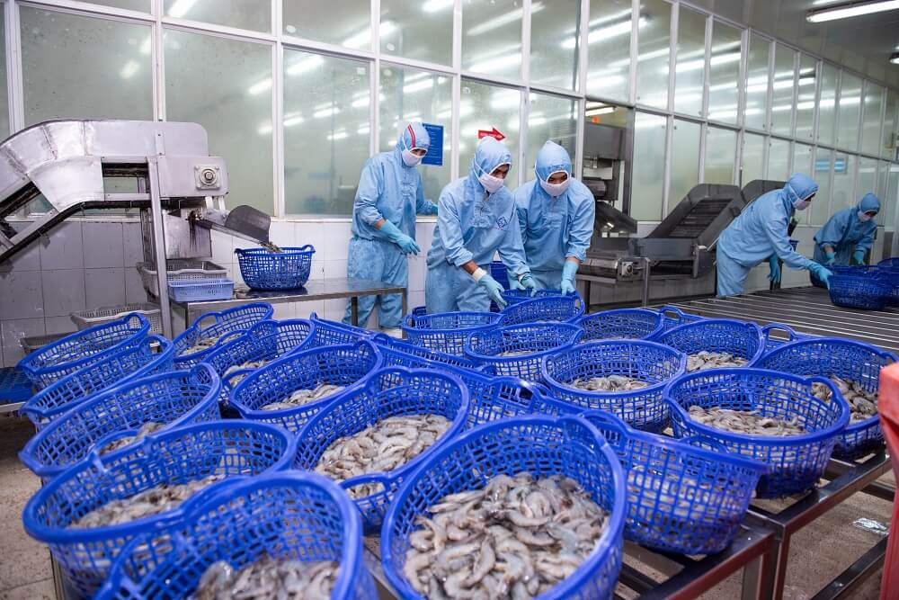 Sao Ta ghi nhận mức tăng doanh số ấn tượng 23% trong tháng Bẩy