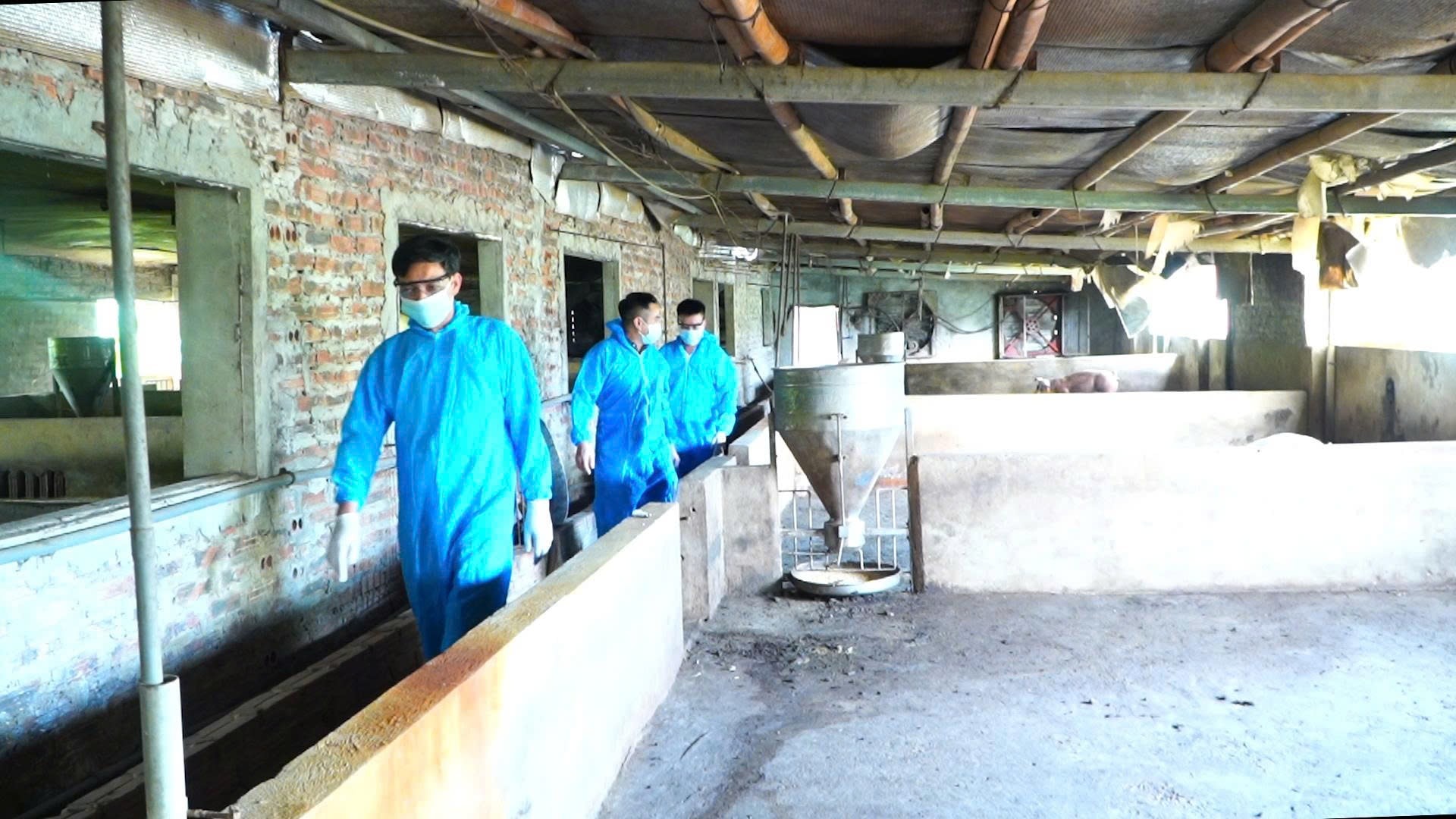 Lực lượng chức năng của TP. Hà Nội kiểm tra chuồng trại chăn nuôi tại xã Liên Minh. Ảnh: Phượng Nguyễn