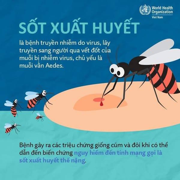 Chung tay phòng chống dịch sốt xuất huyết