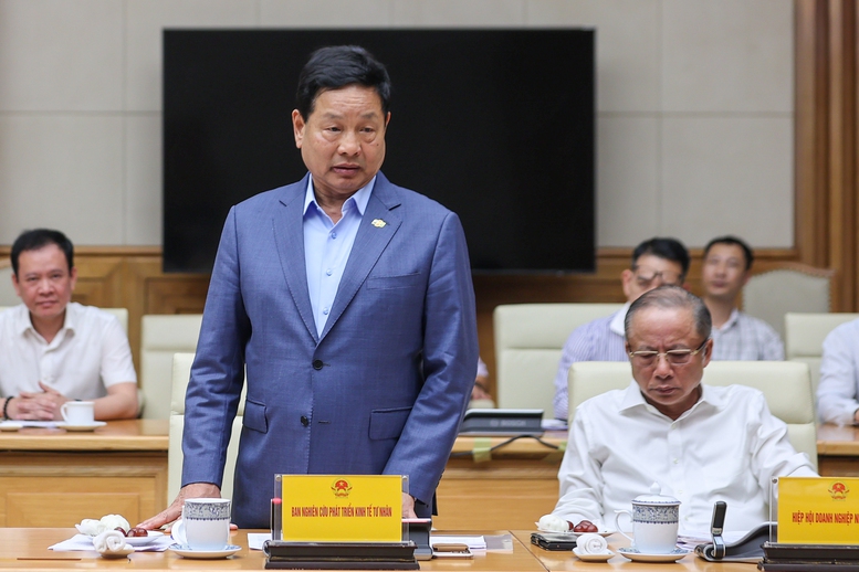 Ông Trương Gia Bình phát biểu tại phiên họp - Ảnh: VGP/Nhật Bắc