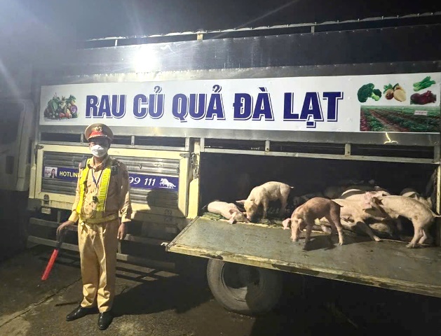 Đắk Lắk: Lập chốt ngăn dịch tả lợn Châu Phi