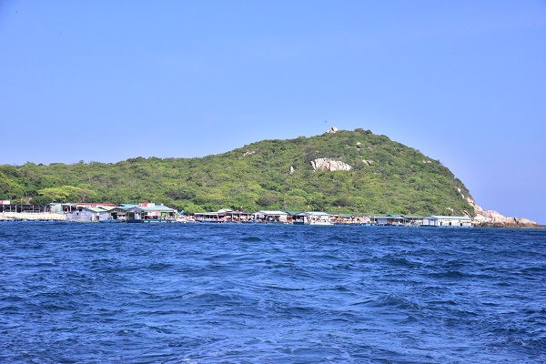 Mũi đầu cá Voi- Vịnh Vĩnh Hy