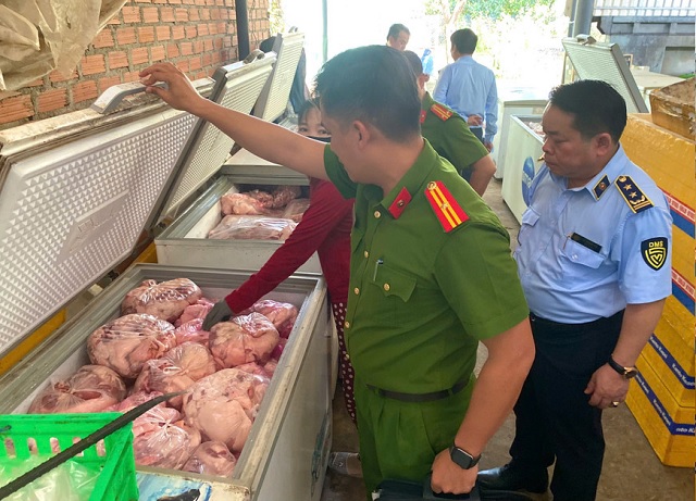 Lực lượng làm nhiệm vụ kiểm tra cơ sở kinh doanh thịt lợn của Công ty TNHH kinh doanh thực phẩm Q.V . Ảnh: QLTT-GL