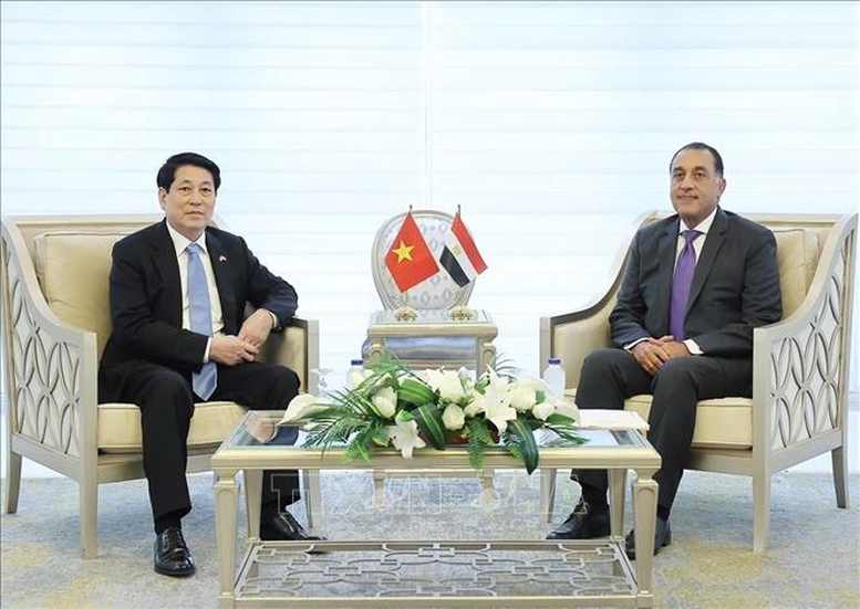 Thủ tướng Ai Cập đề xuất thành lập Hội đồng kinh doanh Việt Nam - Arab