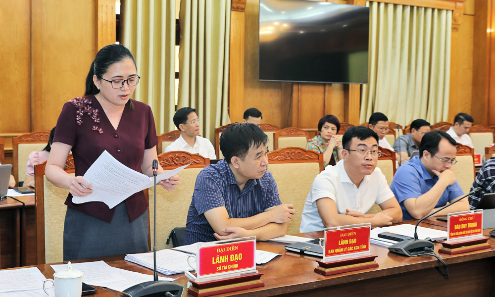 Lãnh đạo Sở Tài chính trình bày dự thảo Nghị quyết của HĐND tỉnh điều chỉnh dự toán ngân sách nhà nước năm 2025 tỉnh Bắc Ninh.